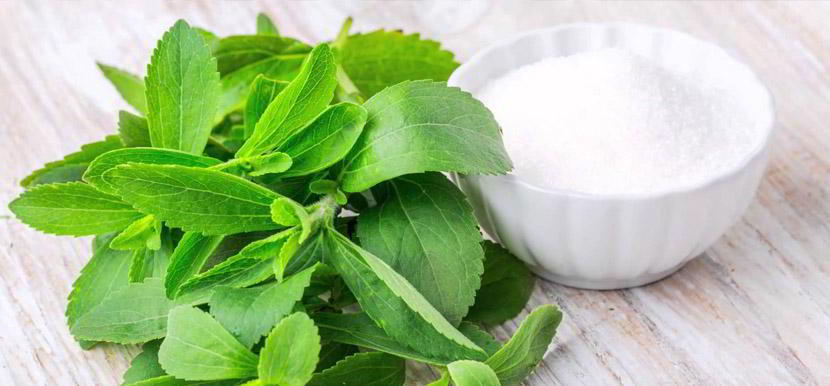 Stevia, el edulcorante de moda 