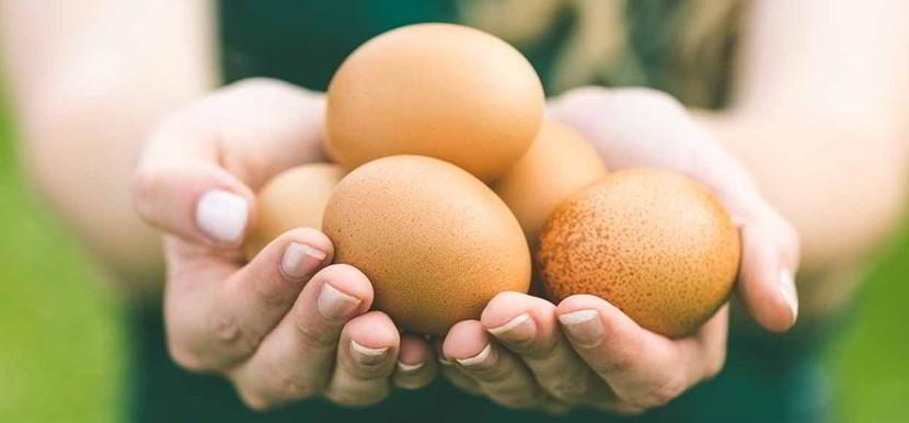 El día mundial del huevo, mitos y verdades